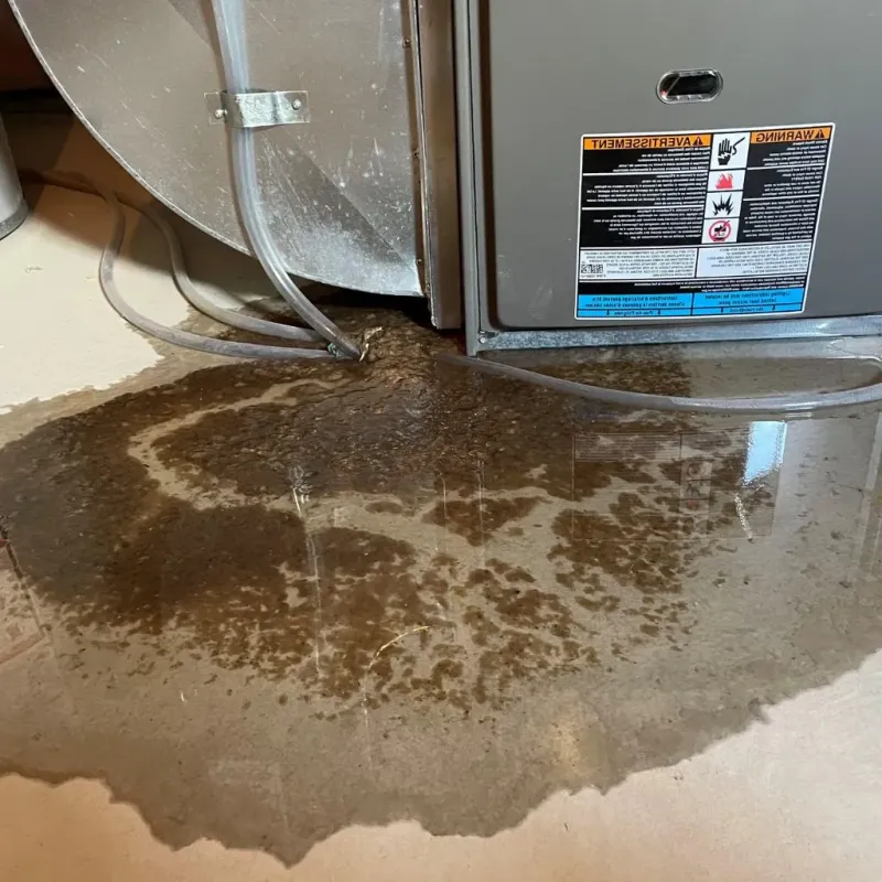 Pipe Burst and Leak Restoration in Elizabeth, NJ
